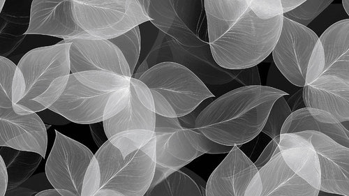 Black and white botanical wall mural design file showing detailed leaf pattern and intricate veining