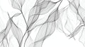 Black and white leaf line art wallpaper creating a modern feel in a bright living room with minimal furniture