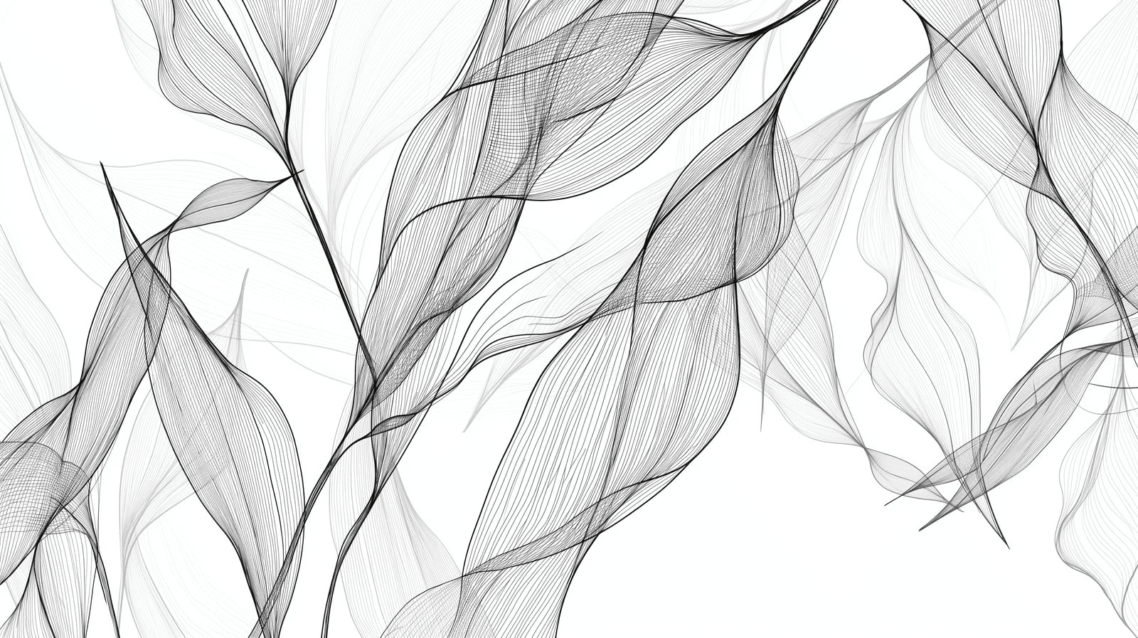 Black and white leaf line art wallpaper creating a modern feel in a bright living room with minimal furniture