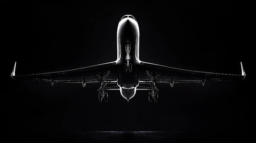 Black and white airplane wall mural design file showing detailed aviation photography pattern