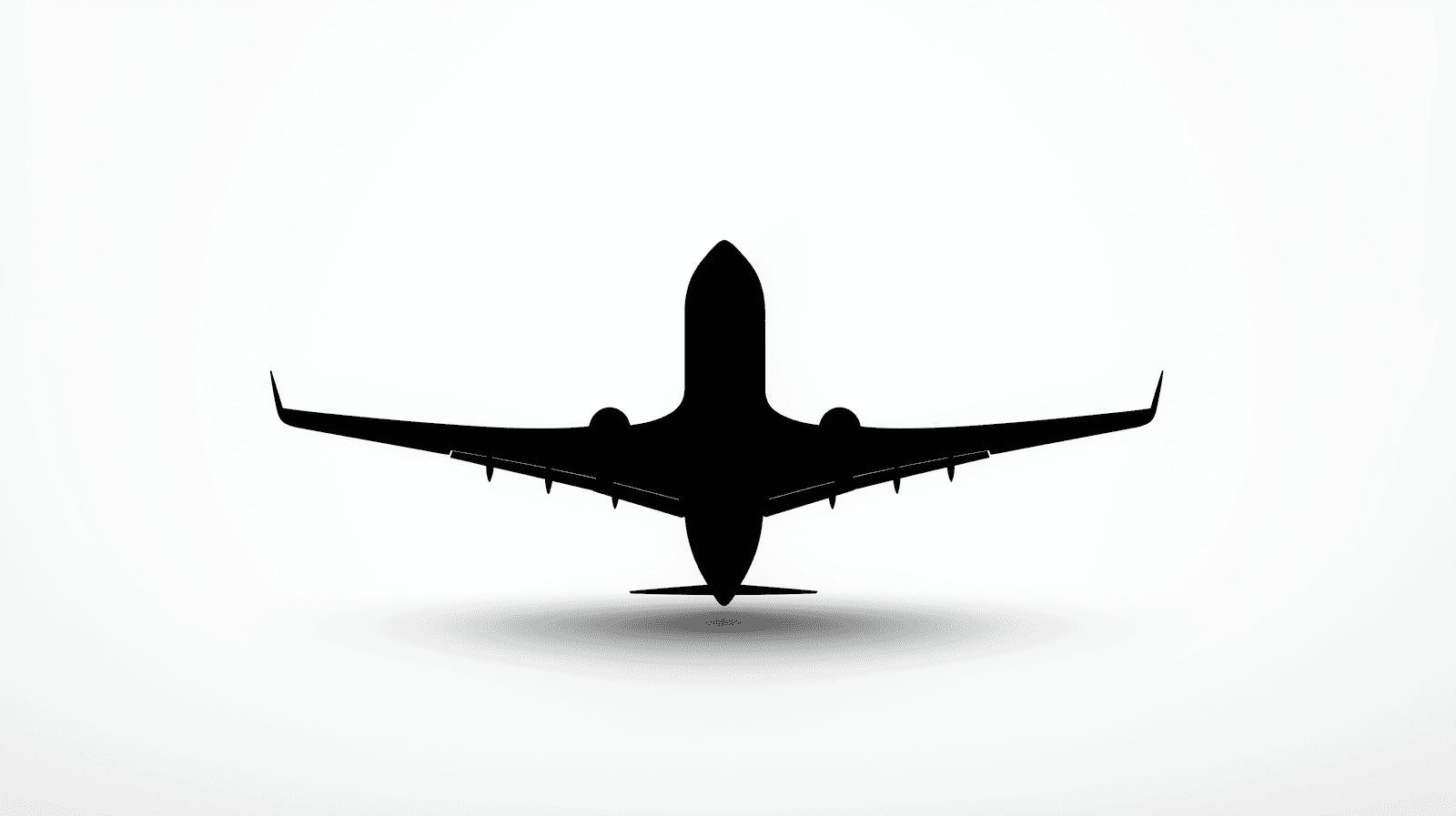 Black and white airplane silhouette design file showing precise details and clean lines