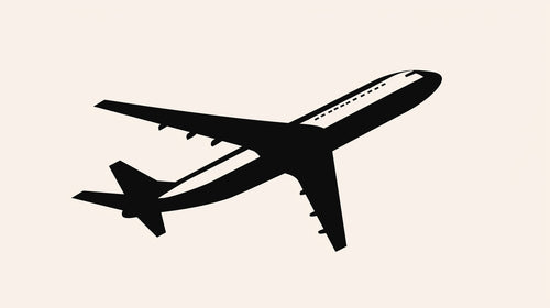 Airplane Mural Wallpaper design file showing clean black silhouette against cream background