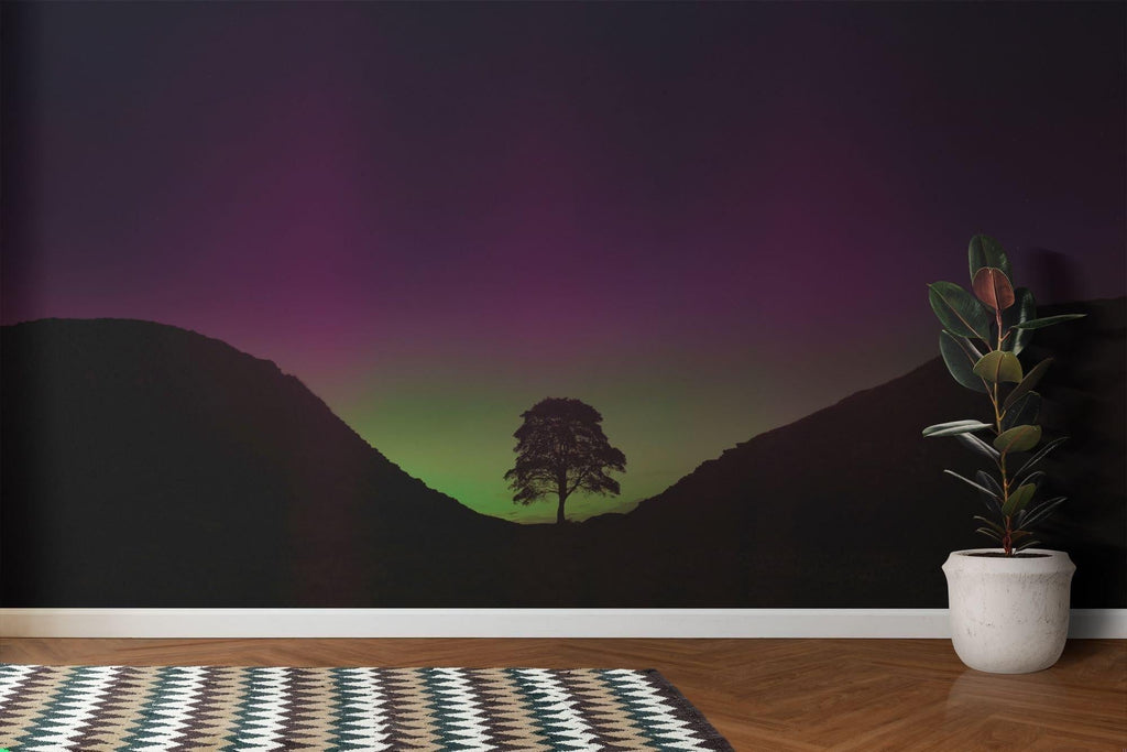 Aurora Borealis wallpaper mural shown in a modern living room, green and purple northern lights dancing above mountains