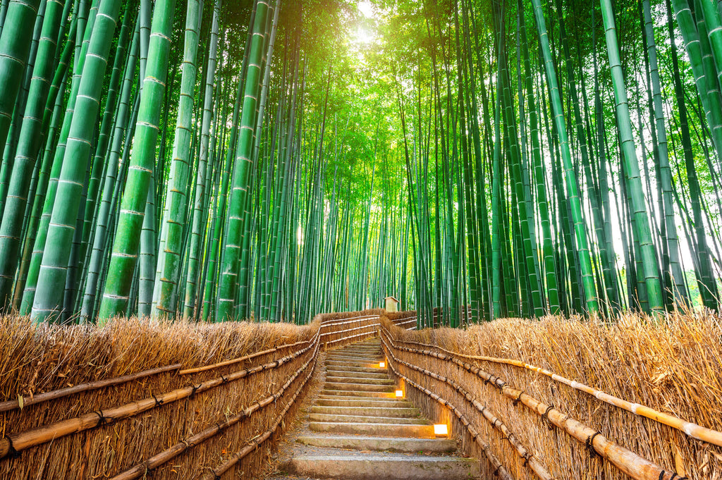 Bamboo forest design file showing detailed Japanese garden path pattern