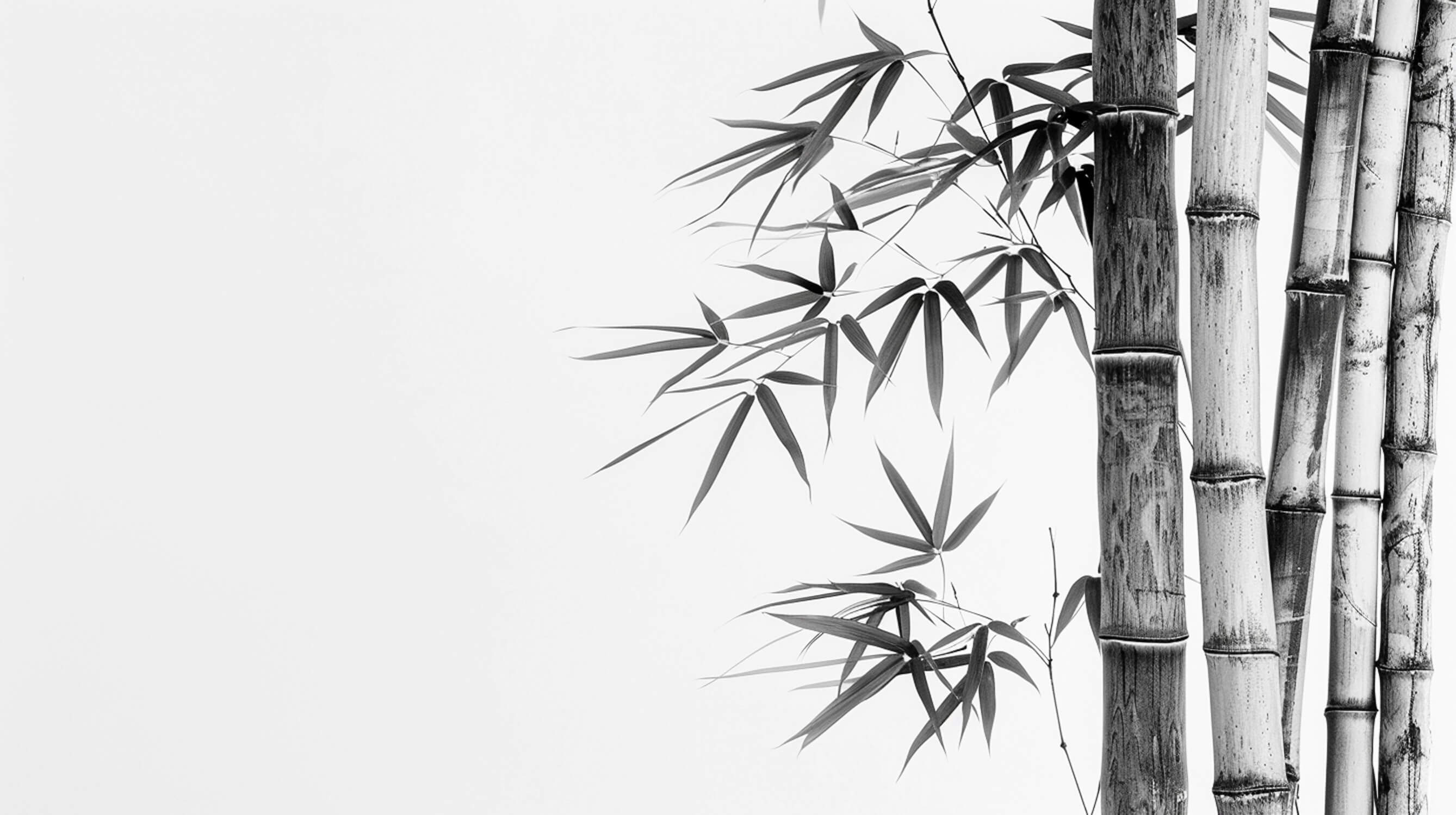 Design file of black and white bamboo pattern showing intricate brush stroke details