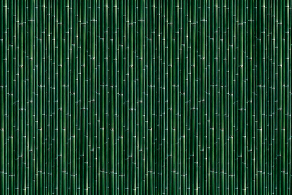 Design file showing detailed bamboo pattern with rich emerald tones and natural textures