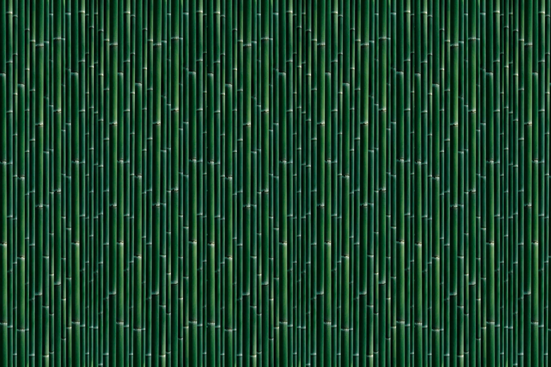 Design file showing detailed bamboo pattern with rich emerald tones and natural textures