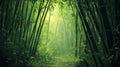 Bamboo forest wallpaper creating depth in a modern living room, sunlight streaming through bamboo stems