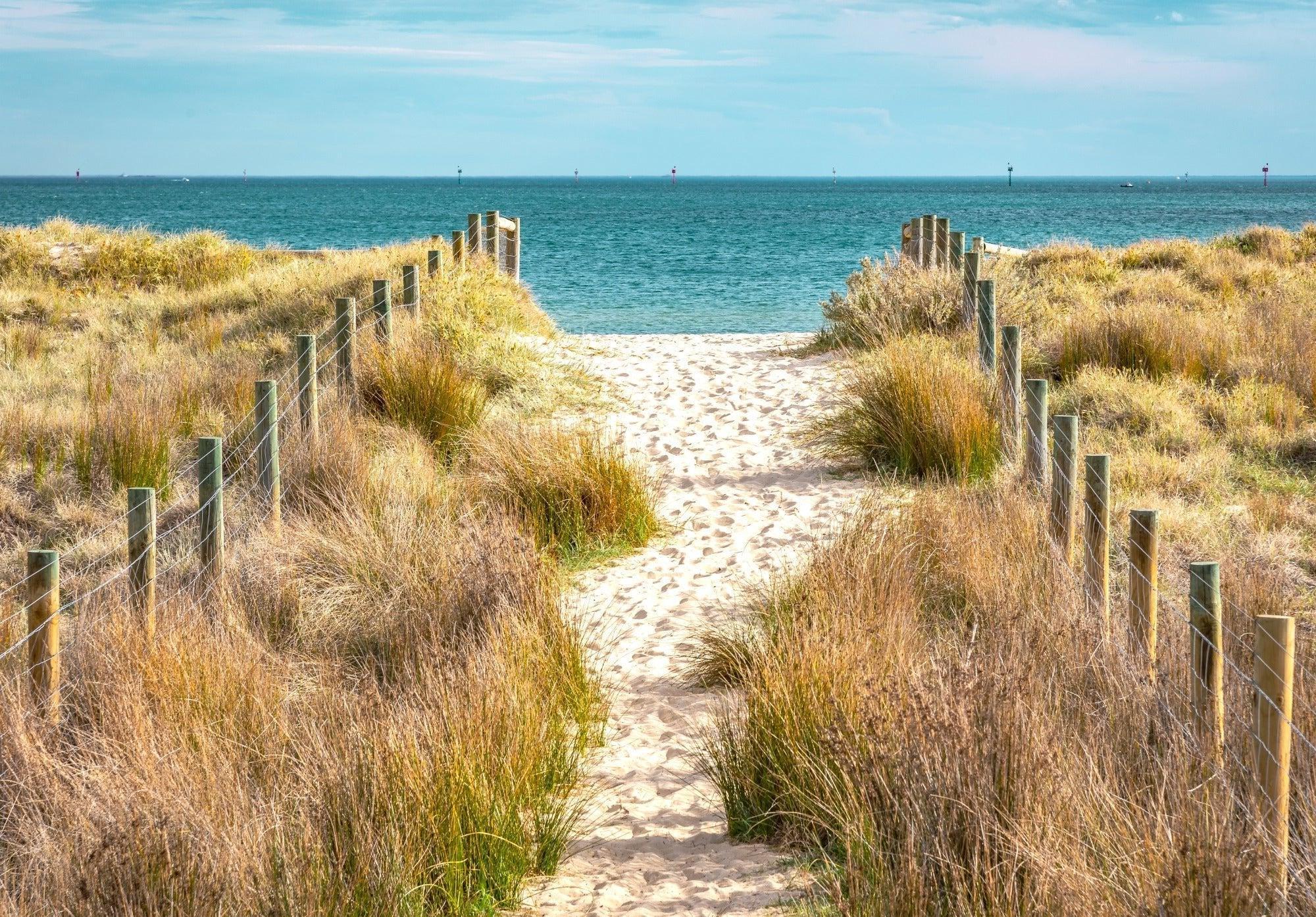 Beach path to turquoise ocean design file showing full wall mural pattern