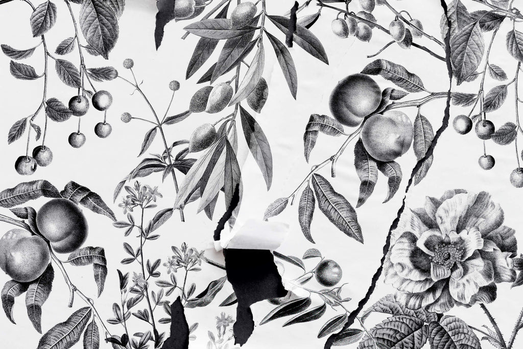 Design file showing detailed black and white botanical fruit pattern with precise linework