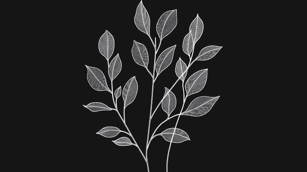 Botanical line art wallpaper design file showing intricate black and white leaf pattern