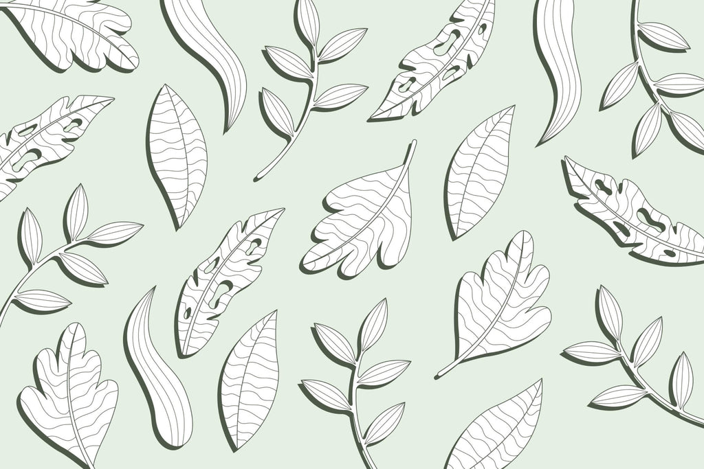 Botanical line art leaf design file showing detailed black outlines on mint green background