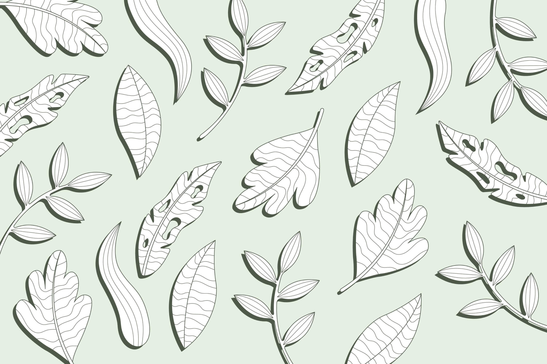 Design file of black botanical line art pattern on mint green background