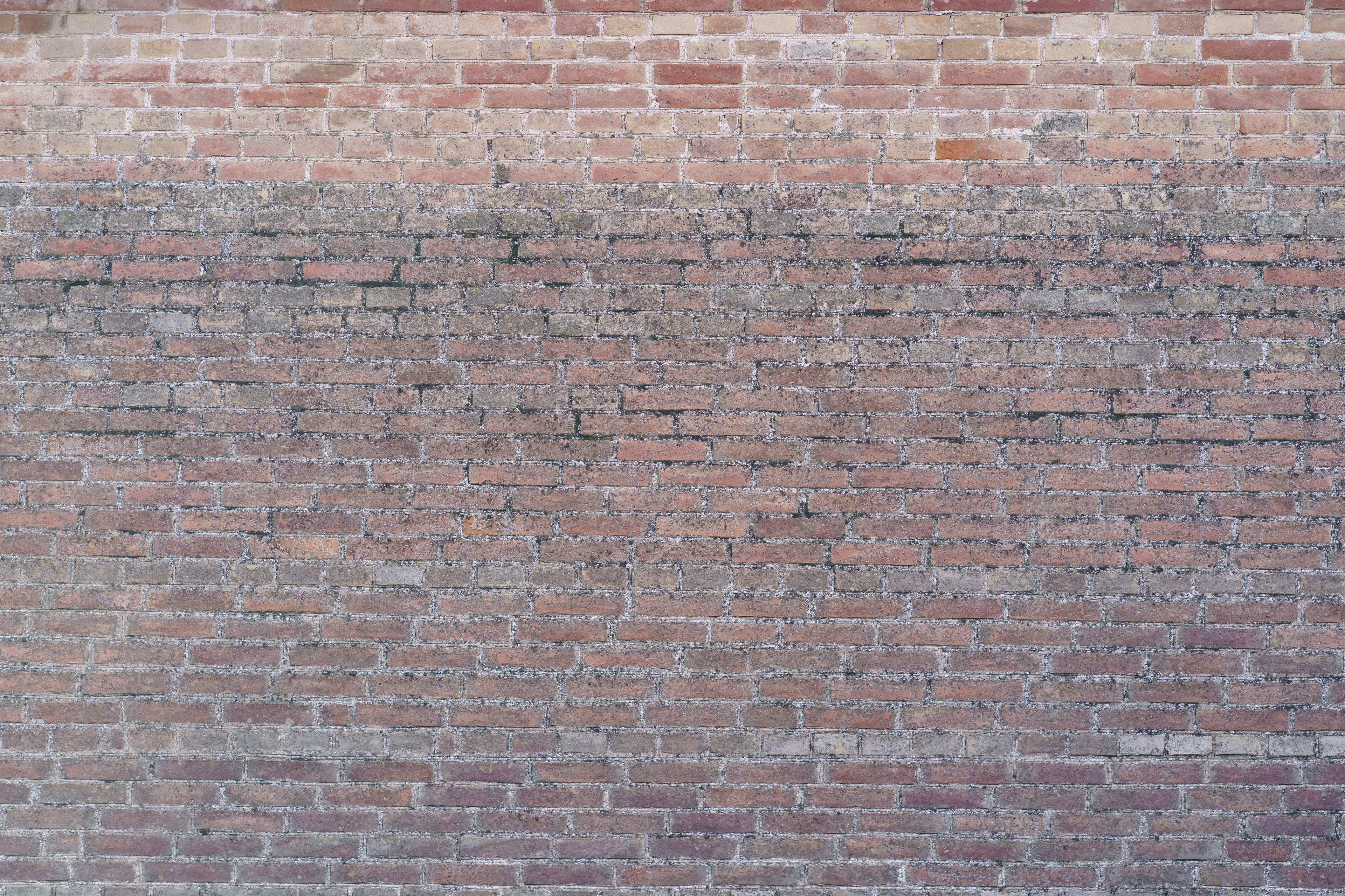 Design file showing detailed brick pattern texture and rich terracotta tones