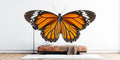 Beautiful Butterfly Wall Mural creates a peaceful atmosphere in a bright modern living room with natural light