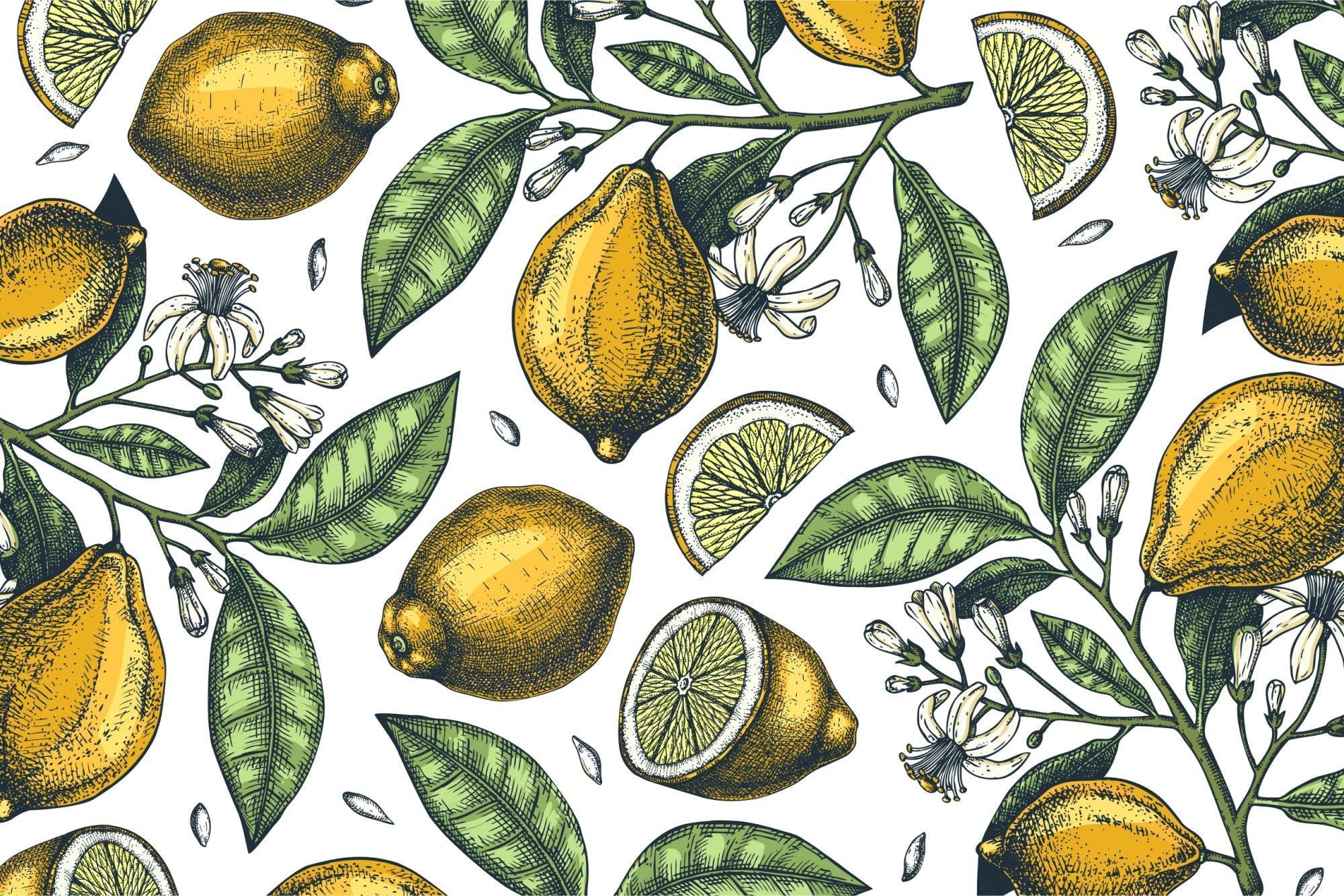 Design file showing detailed vintage lemon and blossom pattern on white background