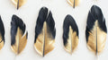 Black and gold feather wallpaper creating a dramatic statement wall in a modern living room with plush furniture