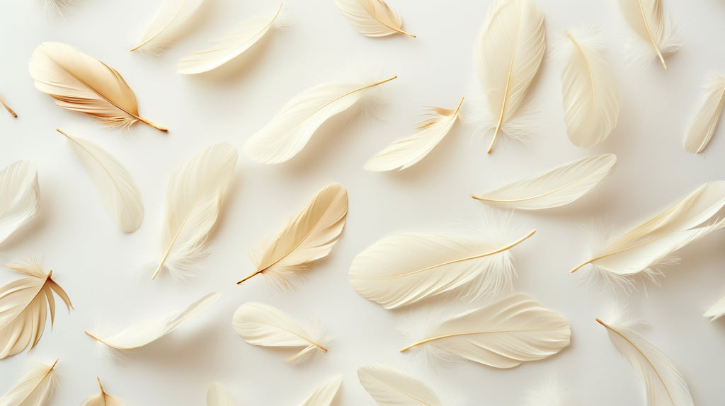 Floating feather wallpaper design file showing detailed cream and gold plumes on white background