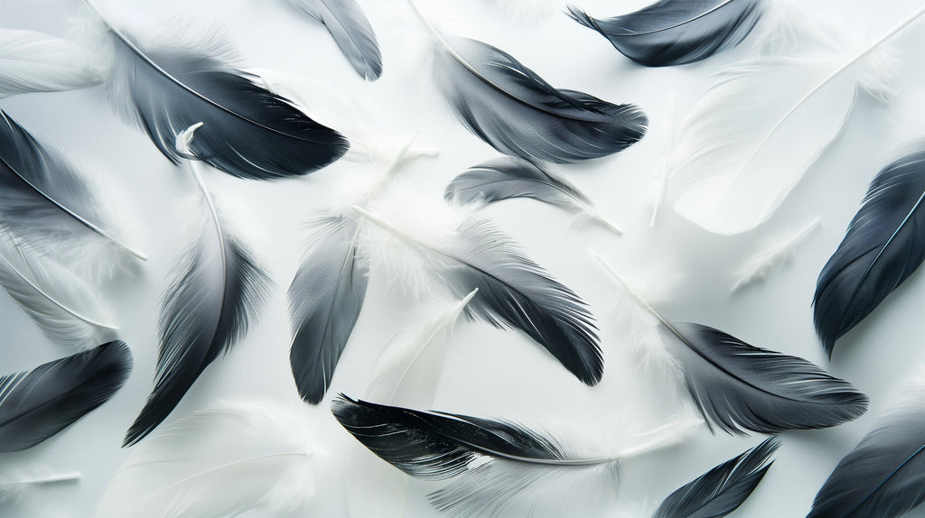 Black and grey feather wallpaper design file showing detailed floating plumes pattern
