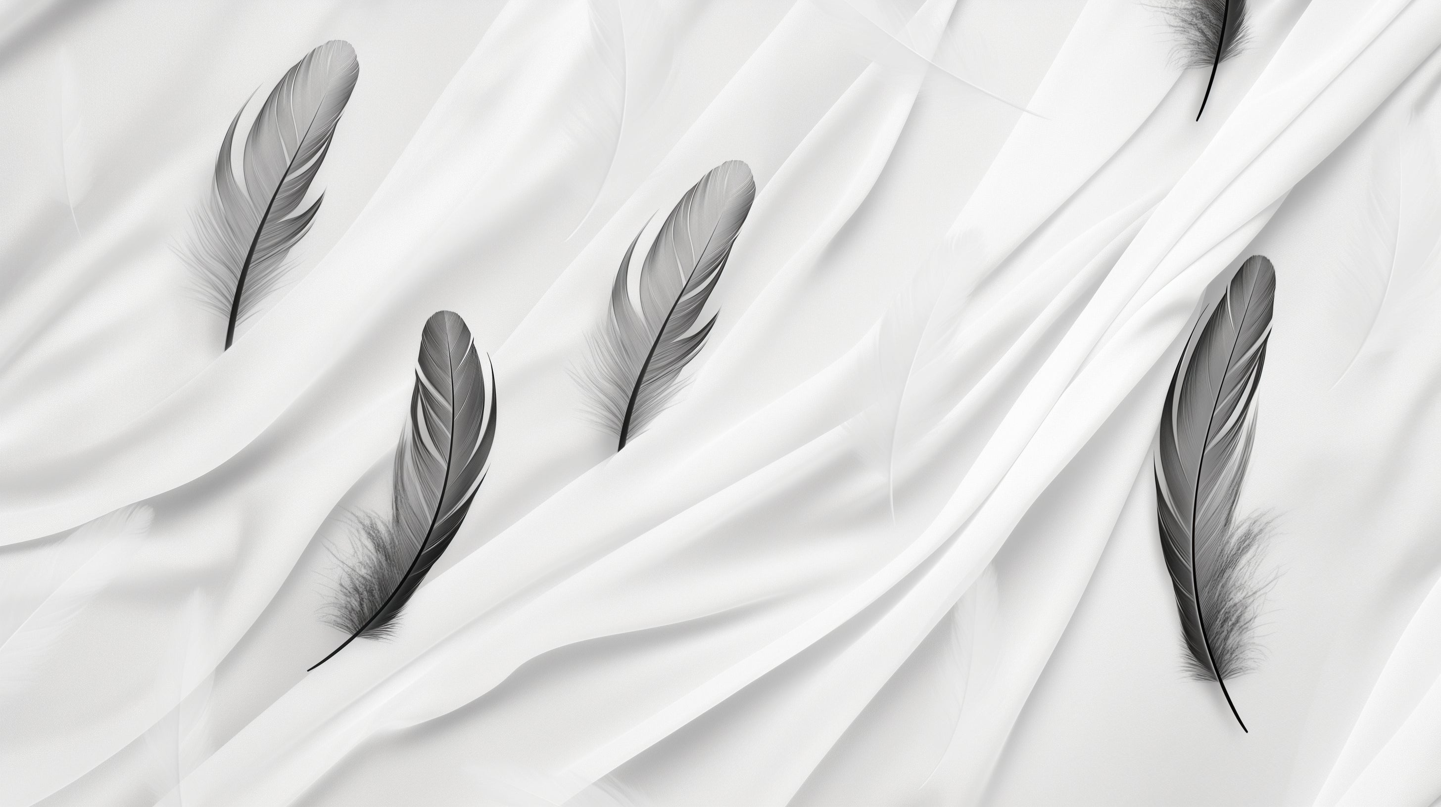 Black and white feather wallpaper design file showing detailed feather pattern on white background