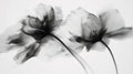 Black and white floral wallpaper creating dramatic impact in a modern living room with minimalist furniture