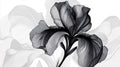 Black and white iris floral wallpaper in modern living room setting, creating dramatic contrast against neutral furniture