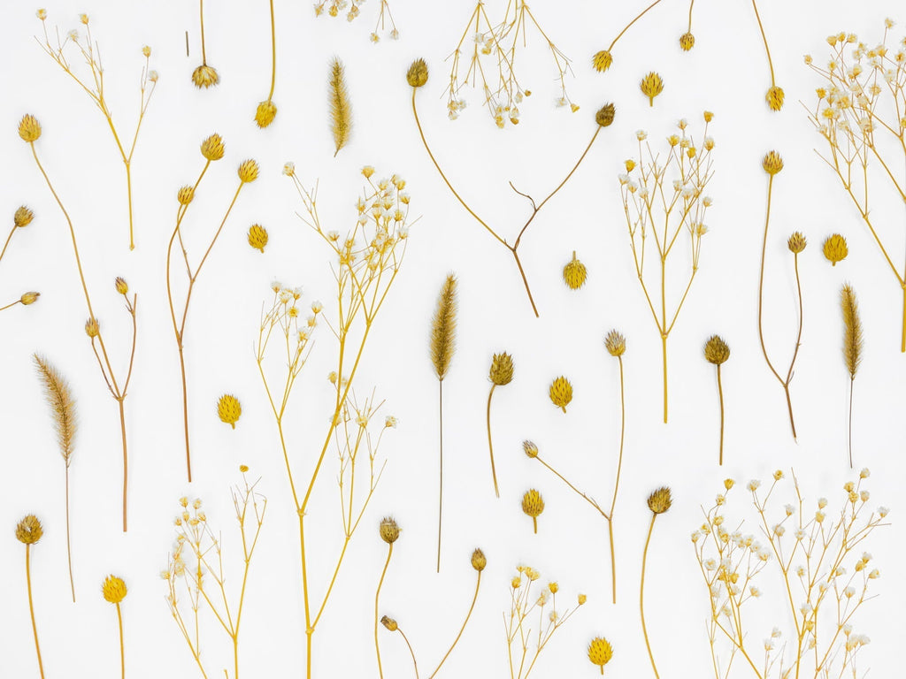 Golden dried flowers design file showing delicate botanical pattern