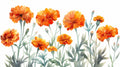 Orange Marigold floral wallpaper in bright modern living room showing scale and color impact