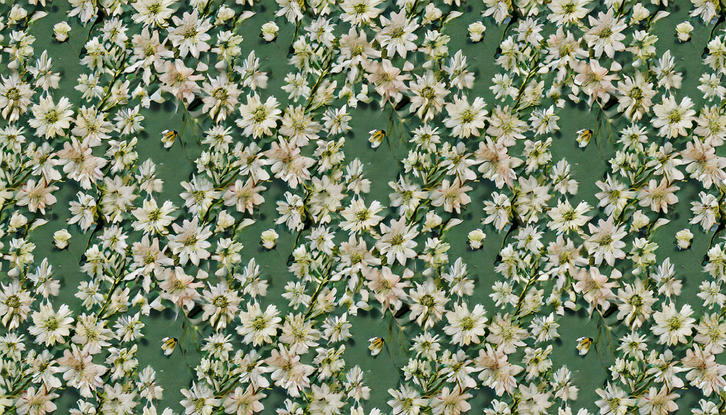Design file showing detailed white daisies pattern on sage green background