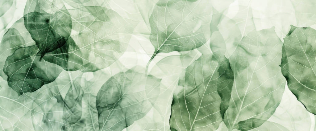 Detailed design file showing the intricate botanical pattern with delicate green leaf layers