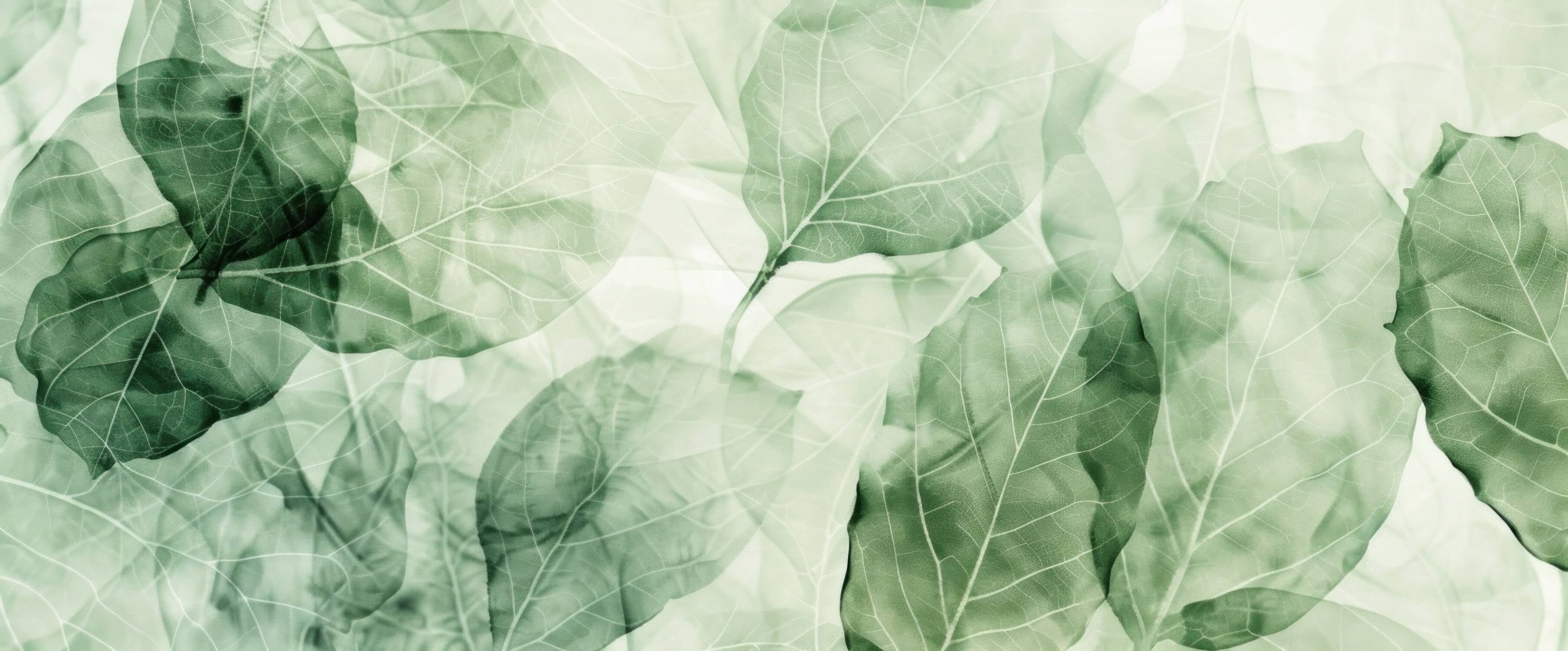 Detailed design file showing the intricate botanical pattern with delicate green leaf layers