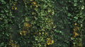Green wall mural with golden accents creating a peaceful atmosphere in a modern living room with natural light