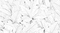 Black and white botanical line art wallpaper creating a stunning focal point in a modern living room with minimalist furniture