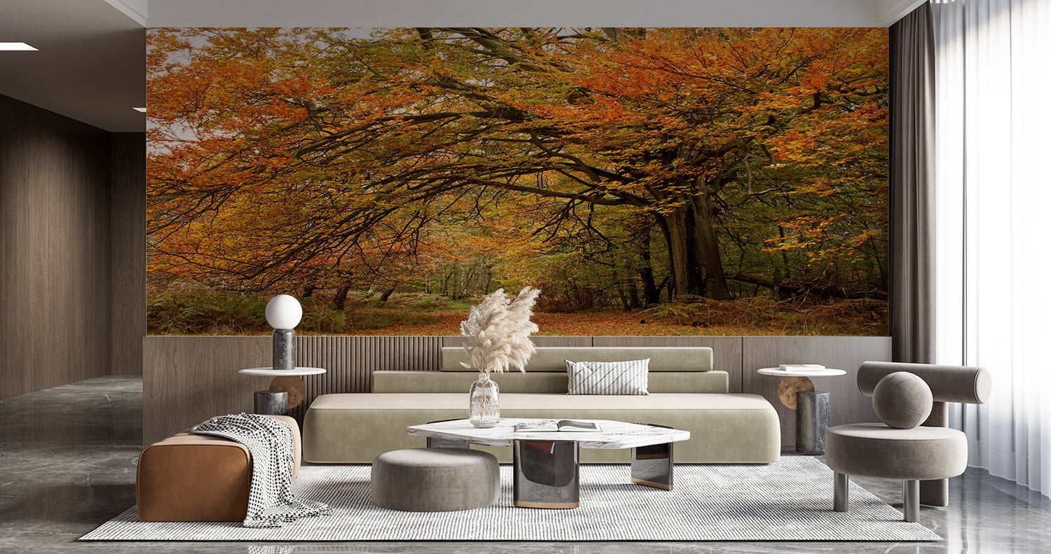 Fall tree mural adding warmth to a master bedroom with soft lighting enhancing the golden leaves