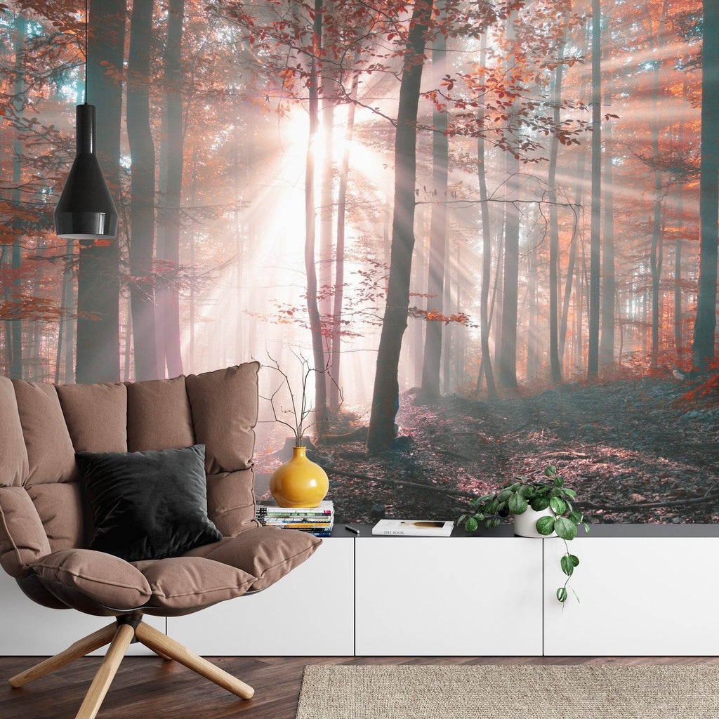 Forest wall mural creating depth in modern living room, morning light filtering through misty trees