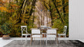 Forest mural wallpaper creating a cozy atmosphere in a modern living room with natural light