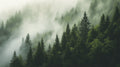 Forest wallpaper mural in modern living room showing misty pine trees creating depth and atmosphere