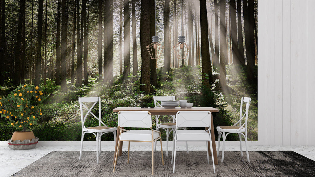 Misty forest wallpaper in cozy bedroom setting with morning light