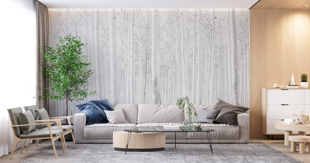 White birch forest wallpaper in modern minimalist bedroom, creating a serene atmosphere with natural light