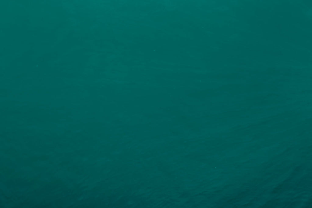 Design file of emerald green wallpaper showing rich color detail and pattern