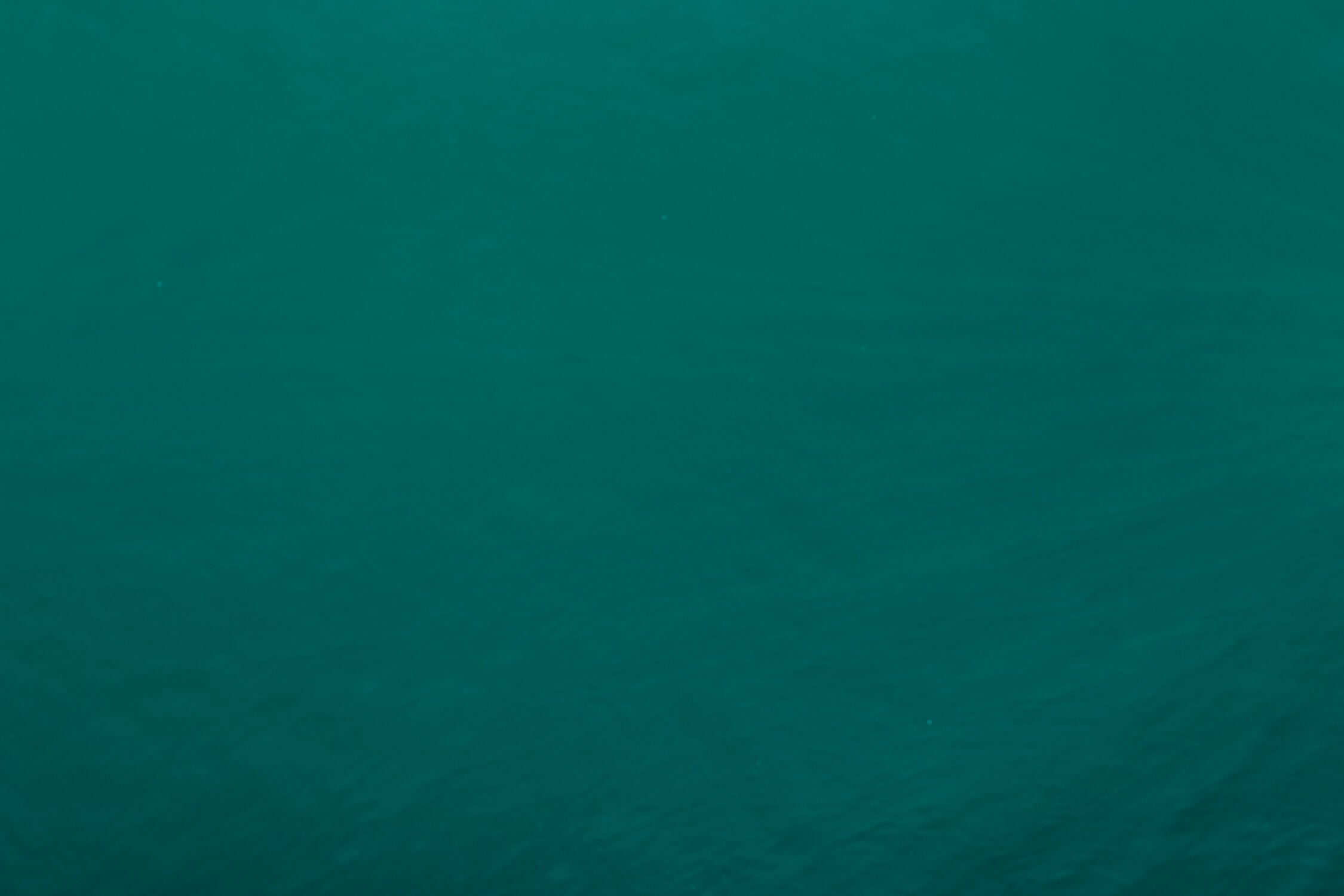 Design file of emerald green wallpaper showing rich color detail and pattern