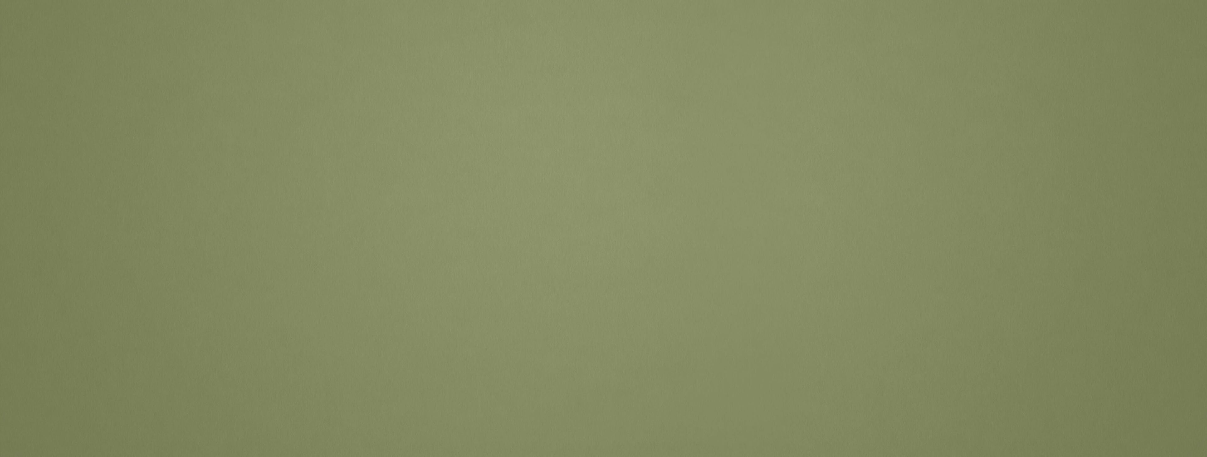 Modern khaki green wallpaper design file showing full pattern detail
