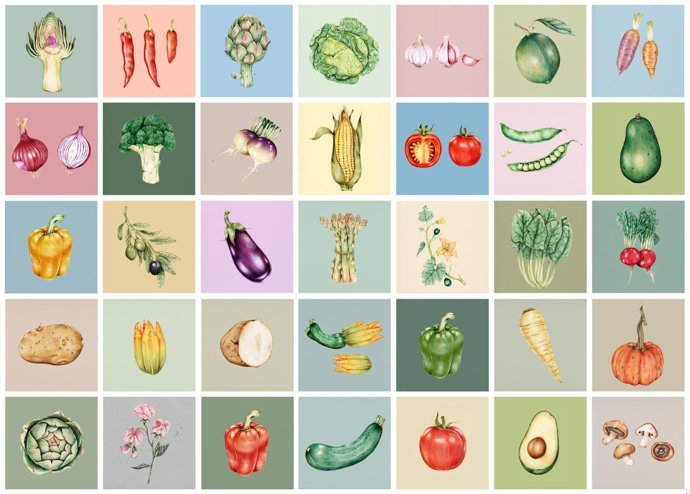 Watercolor vegetable pattern design file showing detailed botanical illustrations in grid layout