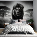 Black and white lion wallpaper creating dramatic impact in a modern living room with minimalist furniture