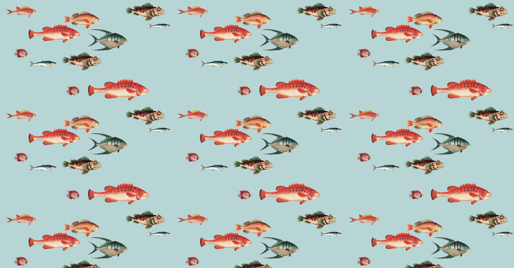 Tropical fish pattern design file showing detailed marine life illustrations on aqua background
