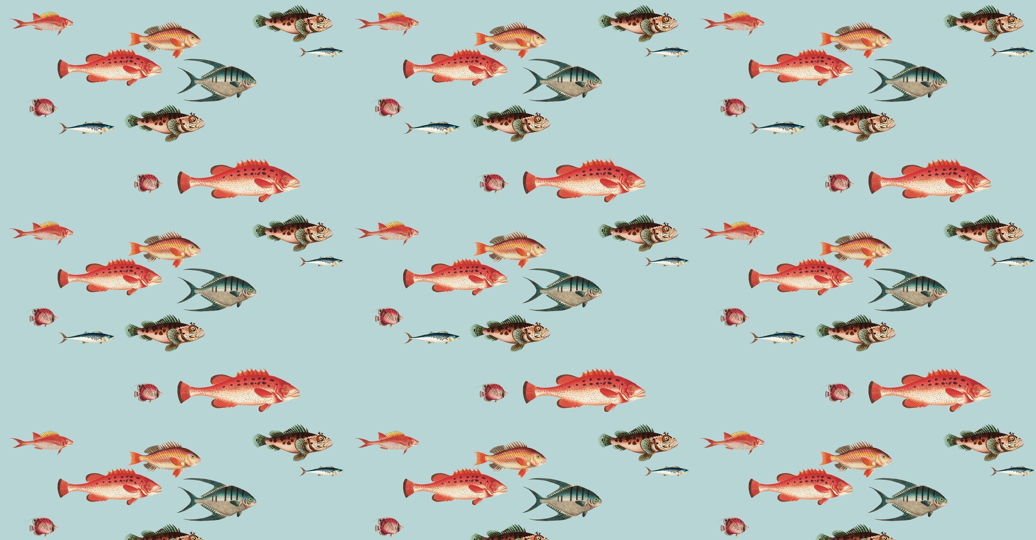 Tropical fish pattern design file showing detailed marine life illustrations on aqua background