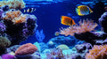 Coral reef wallpaper creating a peaceful atmosphere in a modern bathroom, with vibrant fish and coral details