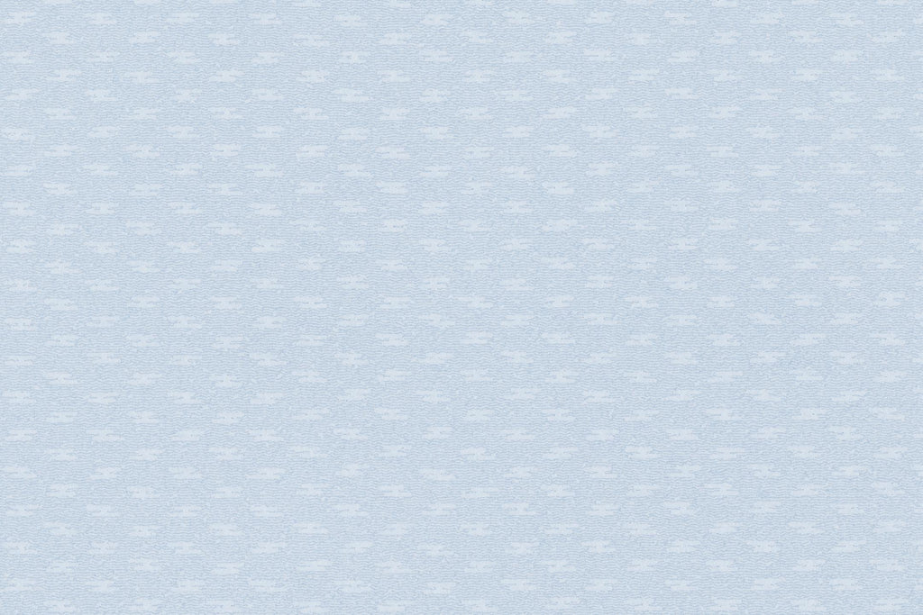 Design file showing detailed light blue textured pattern with subtle surface variations