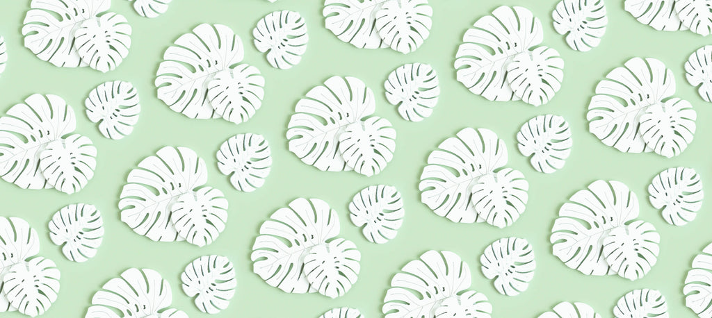 Design file showing white Monstera leaf pattern on mint green background
