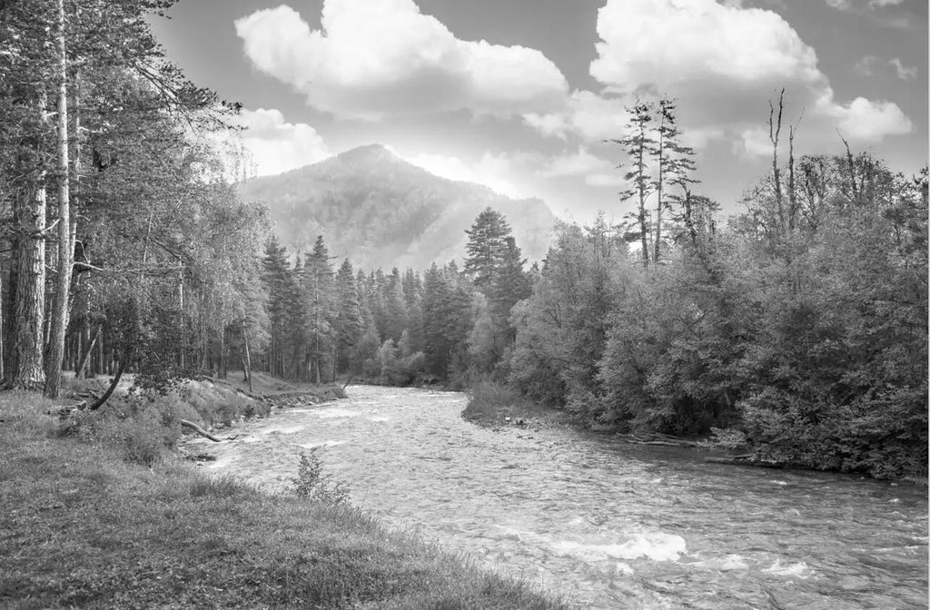 High-resolution design file showing detailed black and white mountain landscape pattern with winding river